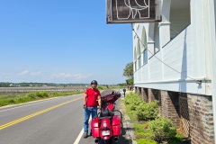 Gadget & Robo - The Pelican Inn Pawyley Island	